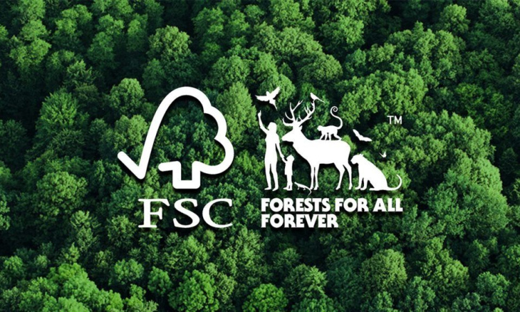 Papir iz održivih izvora – pametan izbor za ured i prirodu