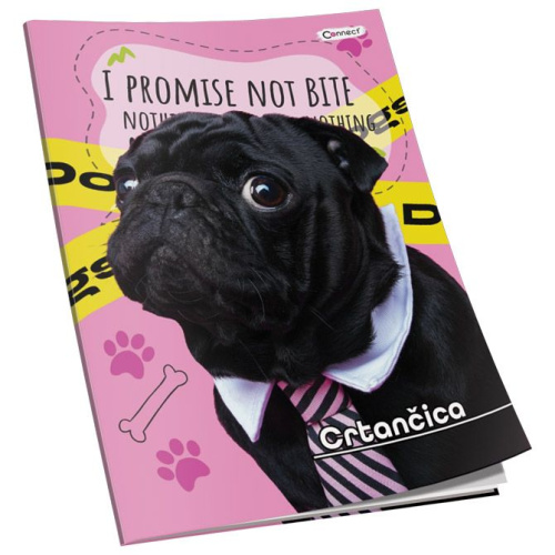 Crtančica Premium Connect Girl