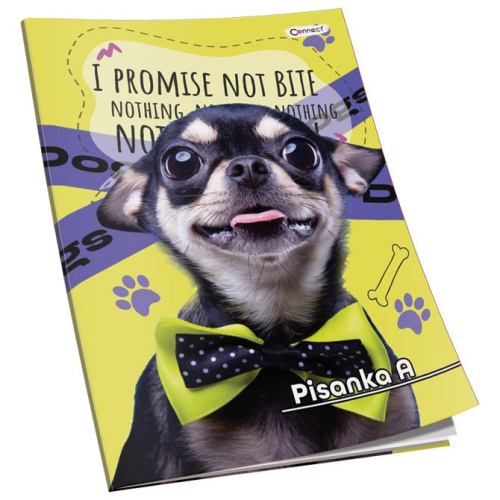 Pisanka A Premium Connect Girl