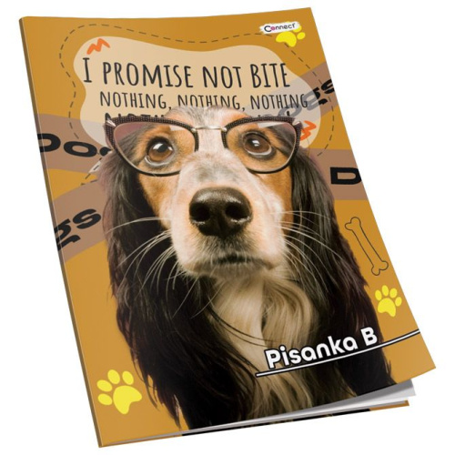 Pisanka B Premium Connect Girl