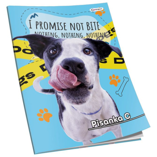 Pisanka C Premium Connect Girl