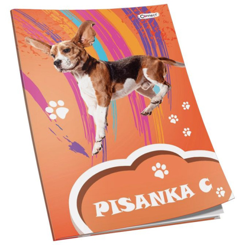 Pisanka C Premium Connect Girl