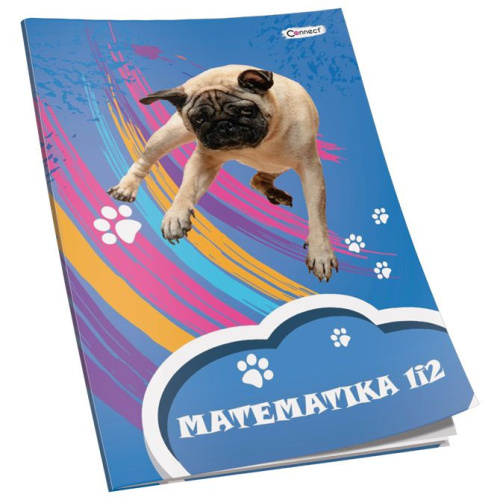 Pisanka matematička za 1 i 2 razred Premium Connect Girl