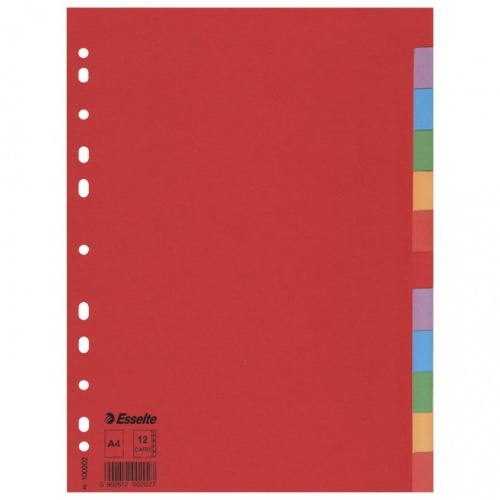 Pregrada kartonska A4 kolor 12 listova Economy Esselte 100202