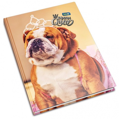 Bilježnica A4 tvrdi uvez crte 96L 60g Educa