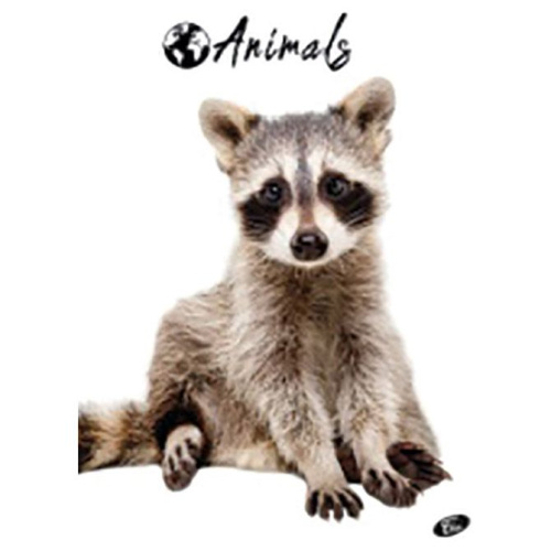 Bilježnica meki uvez A4 karo 40+2L 80g Animal Elisa