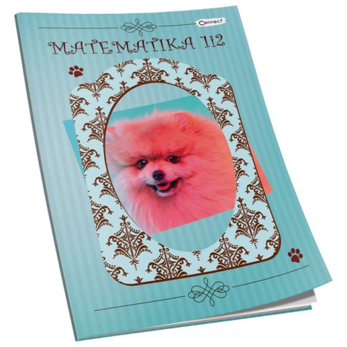 Pisanka matematička za 1 i 2razred Soft+ Connect Girl