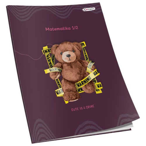 Pisanka matematička za 1 i 2razred Soft+ Connect Girl