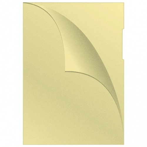 Fascikl L 120my pp A4 mat žuti