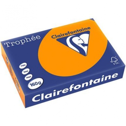Papir u boji A4 CLF 160g 1/250 pastelni clementine
