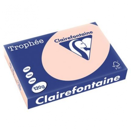pastelni-losos-papir-u-boji-a4-120g-clf
