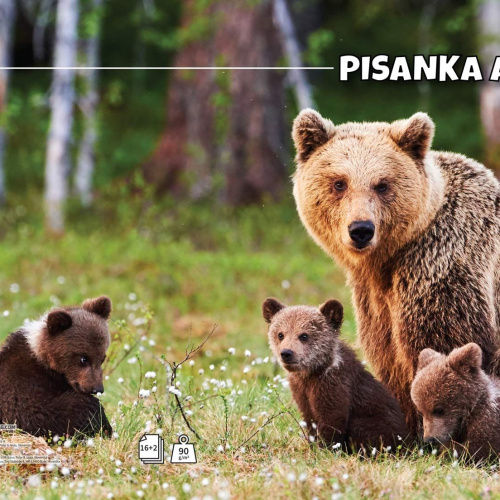 Pisanka A papir 90g korice 280g Animal Target