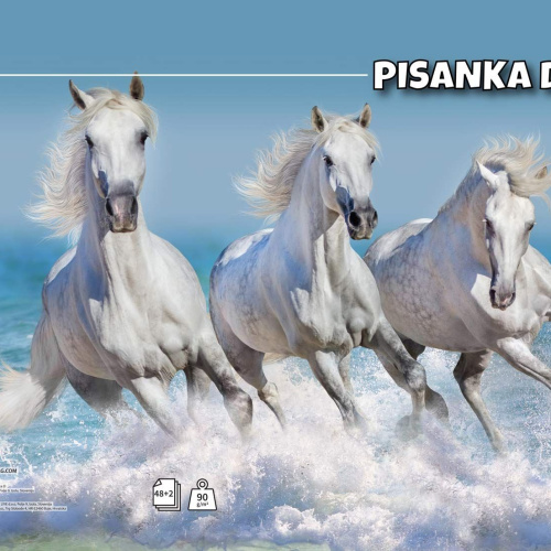 Pisanka D papir 90g korice 280g Animal Target 21614