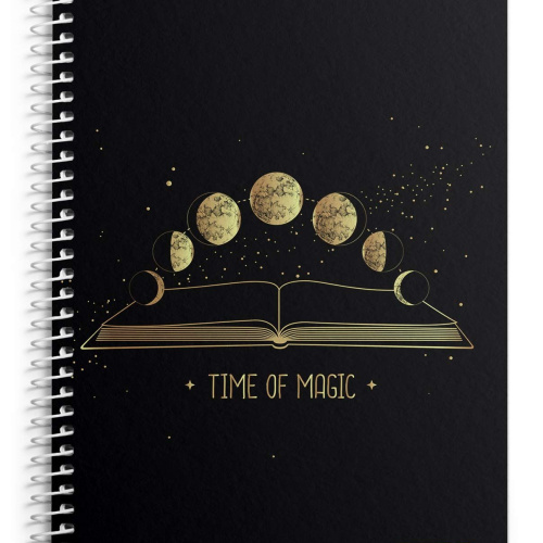 Bilježnica spiralna A4 96 listova 80g A4 crte Target Glam 28235