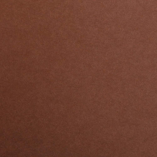 Papir Art karton Clairefontaine Maya Brown A3 270gr 25 listova