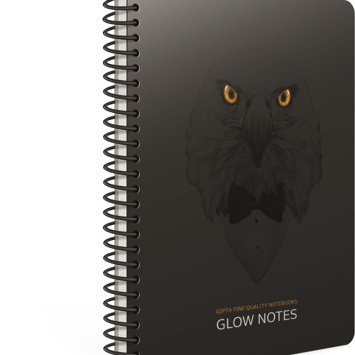 Kolegij blok A4 spiralna bilježnica crte 80L Glow notes Gipta