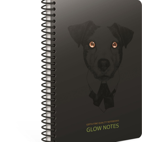 Kolegij blok A4 spiralna bilježnica crte 80L Glow notes Gipta
