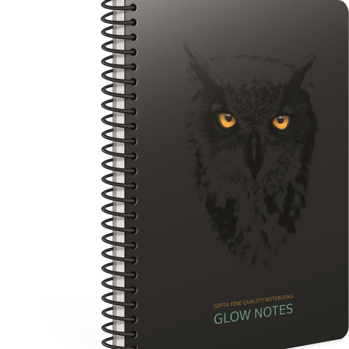 Kolegij blok A4 spiralna bilježnica crte 80L Glow notes Gipta