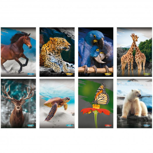 Bilježnica meki uvez A4 kocke 40+2L 80gr Blasetti