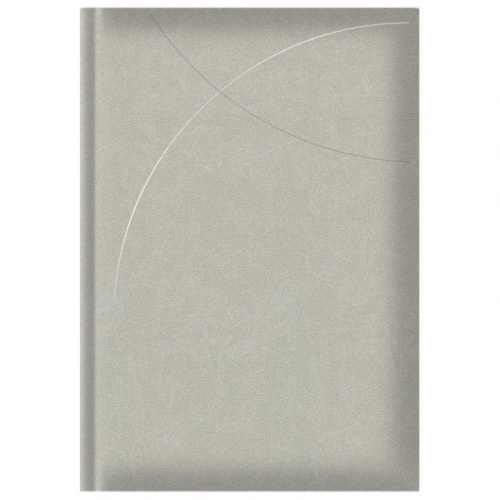 Rokovnik A5 Astro D47 srebrni