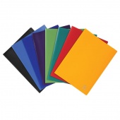 Mapa uložna varena A4 s 60 fascikli U pp Exacompta