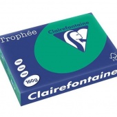 Papir u boji A4 CLF 160g 1/250 intenzivni bor zelena