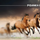 Pisanka B papir 90g korice 280g Animal Target 21612