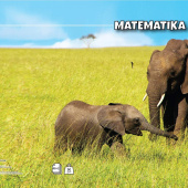 Pisanka matematička 3/4 papir 90g korice 280g Animal Target 21616