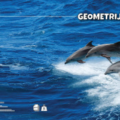 Pisanka geometrijska papir 90g korice 280g Animal Target 21617