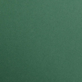 Papir Art karton Clairefontaine Maya Antique Green A3 270gr 25 listova