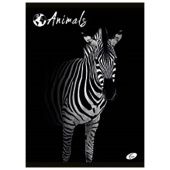 Bilježnica meki uvez A4 karo 40+2L 80g Animal Elisa