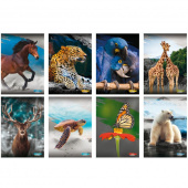 Bilježnica meki uvez A4 crte 40+2L 80gr Blasetti